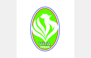 Formation Vita XIII