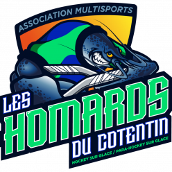 Entraînement Para Hockey sur Glace à Rouen